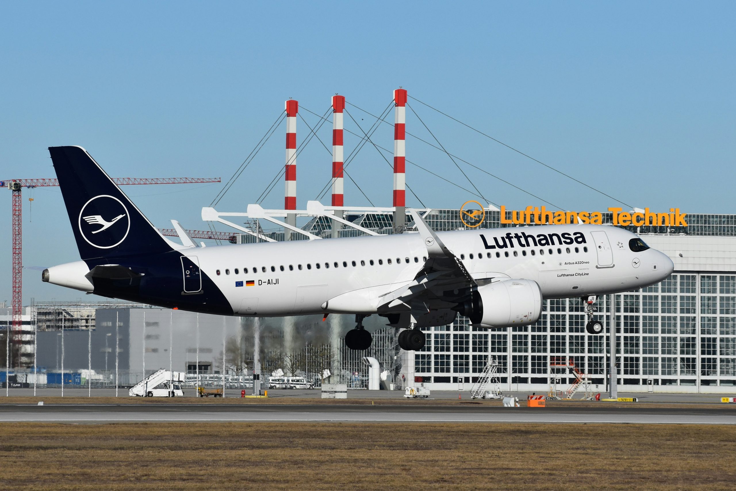 LH